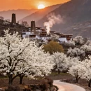 成都旅游 缩略图 6