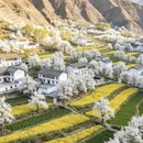 成都旅游 缩略图 8