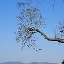 无锡旅游 缩略图 3