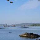 无锡旅游 缩略图 4