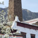 阿坝旅游 缩略图 1