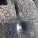 石家庄旅游 缩略图 6