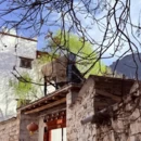 阿坝旅游 缩略图 8