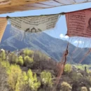 阿坝旅游 缩略图 2