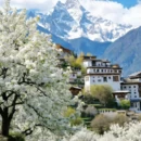 阿坝旅游 缩略图 1