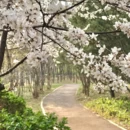 石家庄旅游 缩略图 1