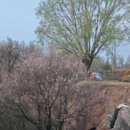 白银旅游 缩略图 13
