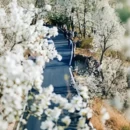 阿坝旅游 缩略图 4