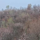 白银旅游 缩略图 14
