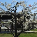 石家庄旅游 缩略图 13