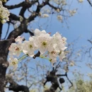 芜湖旅游 缩略图 1