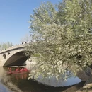 石家庄旅游 缩略图 1