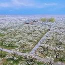 石家庄旅游 缩略图 1