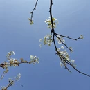 石家庄旅游 缩略图 3