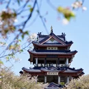 无锡旅游 缩略图 14