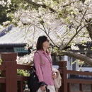 无锡旅游 缩略图 12