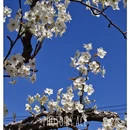 石家庄旅游 缩略图 5