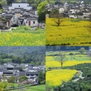 黄山旅游 缩略图 1