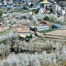 阿坝旅游 缩略图 11
