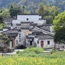黄山旅游 缩略图 3