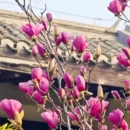 保定旅游 缩略图 13