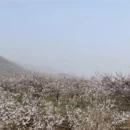 保定旅游 缩略图 15