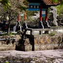 无锡旅游 缩略图 7