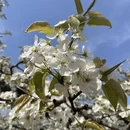 宿州旅游 缩略图 10