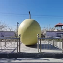 石家庄旅游 缩略图 14