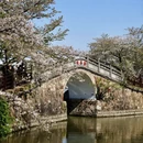 无锡旅游 缩略图 8