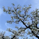 宿州旅游 缩略图 12