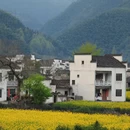 黄山旅游 缩略图 6