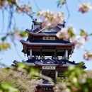 无锡旅游 缩略图 17
