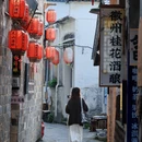 黄山旅游 缩略图 13