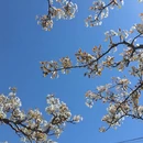 石家庄旅游 缩略图 4