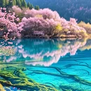 阿坝旅游 缩略图 1