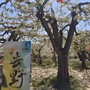 石家庄旅游 缩略图 7