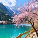 阿坝旅游 缩略图 4