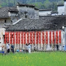 黄山旅游 缩略图 7