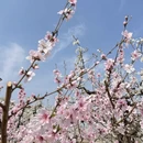 石家庄旅游 缩略图 14