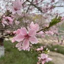 石家庄旅游 缩略图 17
