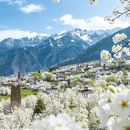 阿坝旅游 缩略图 2