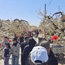 石家庄旅游 缩略图 8
