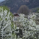 阿坝旅游 缩略图 5