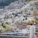 阿坝旅游 缩略图 1
