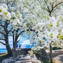 阿坝旅游 缩略图 5