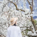 阿坝旅游 缩略图 8