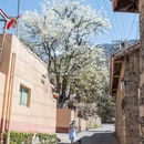 阿坝旅游 缩略图 3