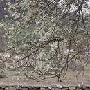 阿坝旅游 缩略图 4