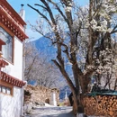 阿坝旅游 缩略图 2